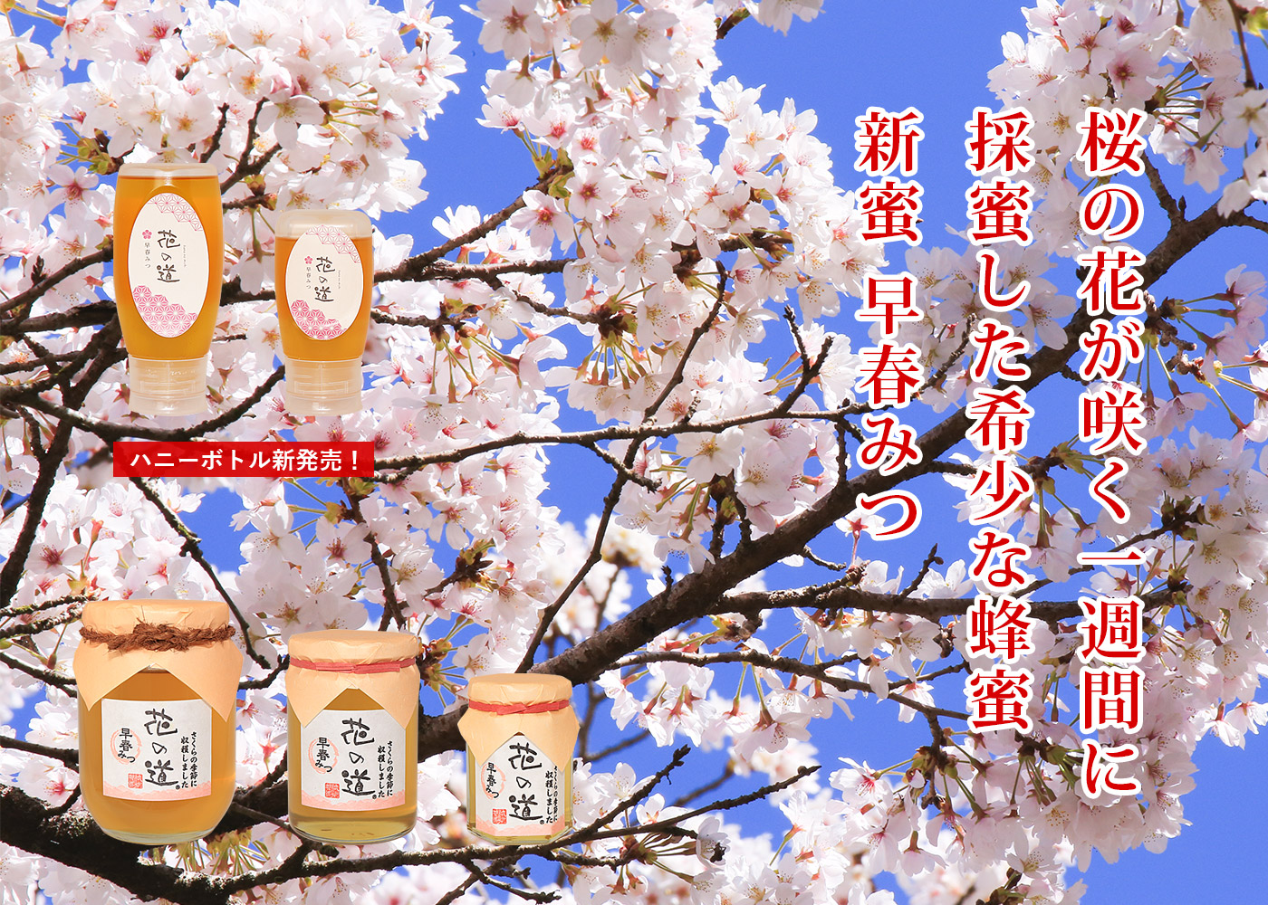 2026年新蜜 早春みつ