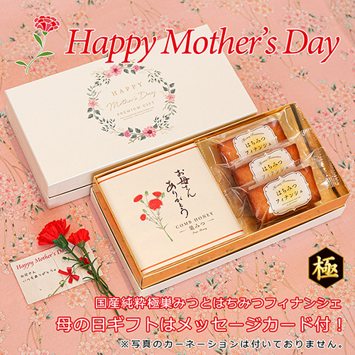 国産純粋極巣みつとはちみつフィナンシェ