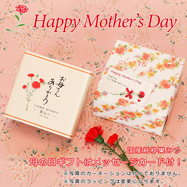 母の日ギフト 国産純粋巣みつ
