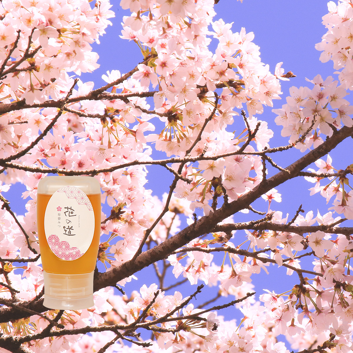 早春みつ ハニーボトル 280g