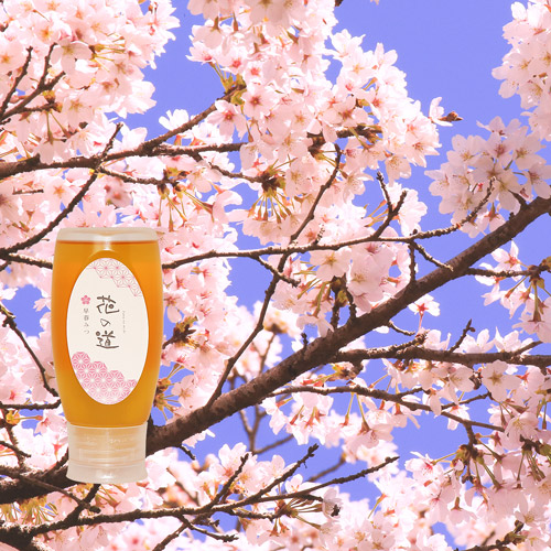 早春みつ ハニーボトル 500g