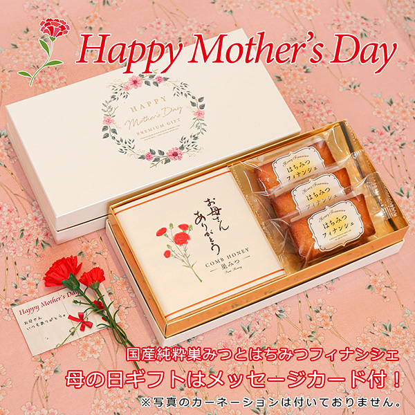 母の日ギフト 国産純粋巣みつとはちみつフィナンシェ