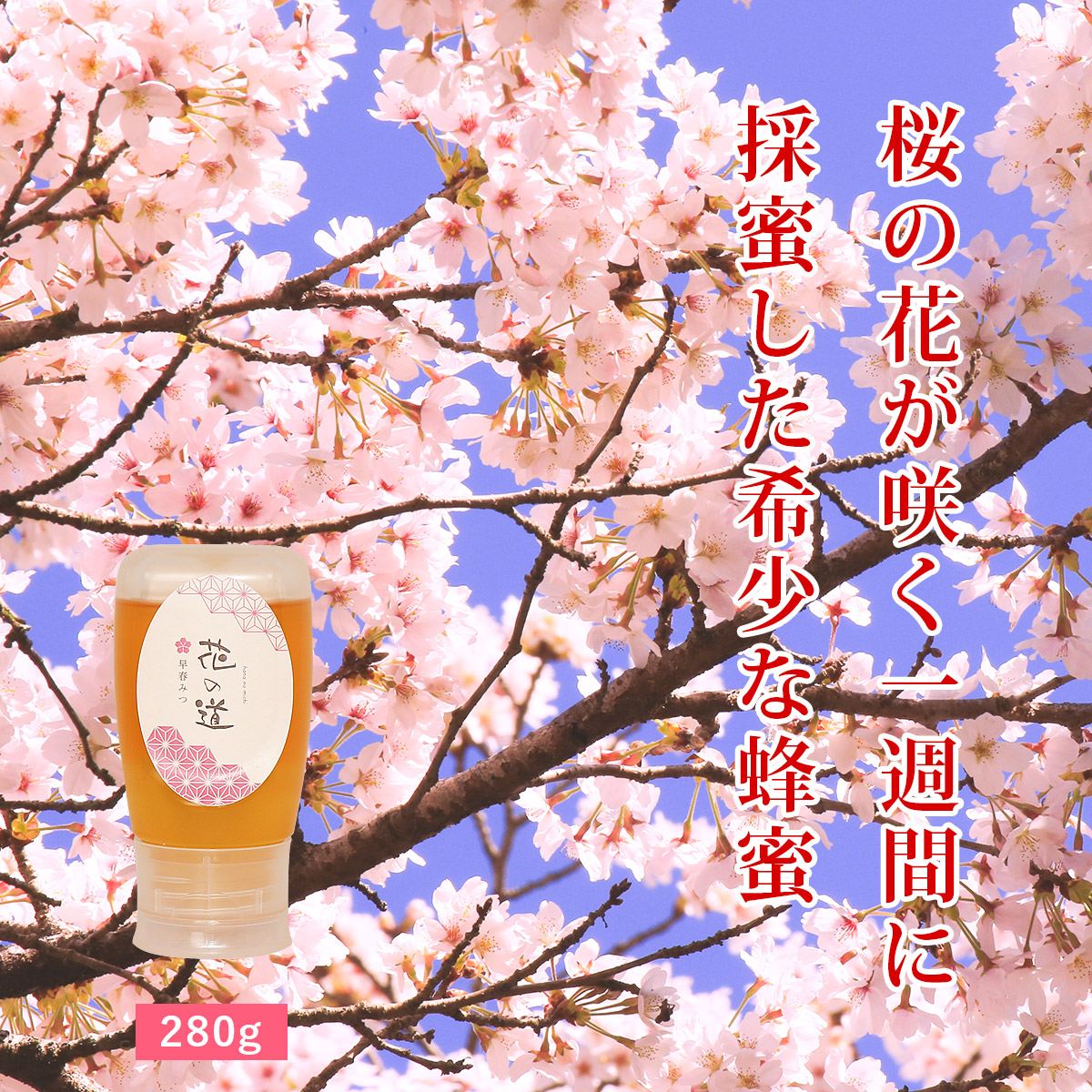 国産はちみつ 花の道 早春みつ（さくら）280g ハニーボトル