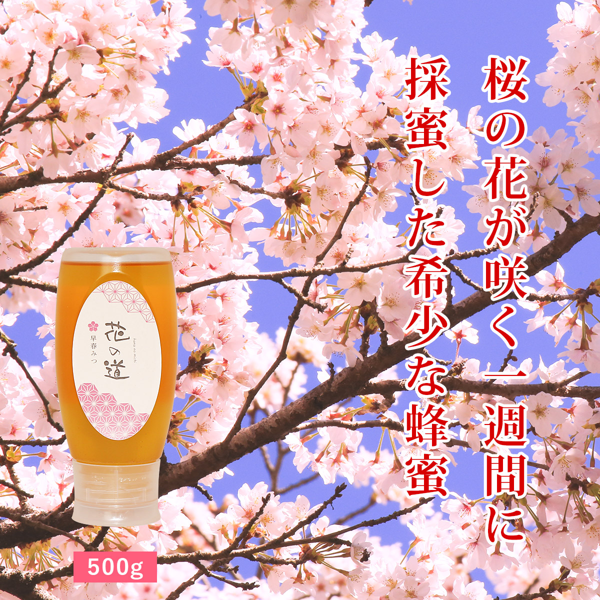 国産はちみつ 花の道 早春みつ（さくら）500g ハニーボトル